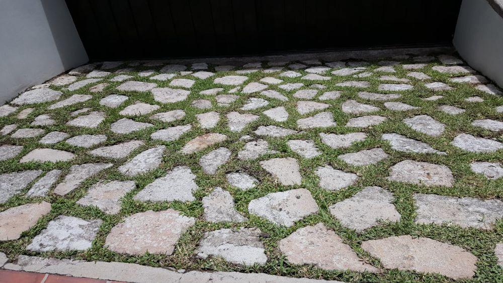 Camino de piedra con grama limpio